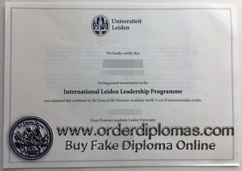 Leiden University Diploma 480x341 
