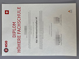 Order a HSO Wirtschafts und Informatikschule diploma online.