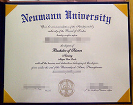 Offering you the best Neumann University degree online.