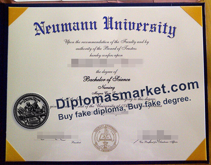 make Neumann University degree