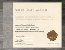 Process to order a North Island College degree online.