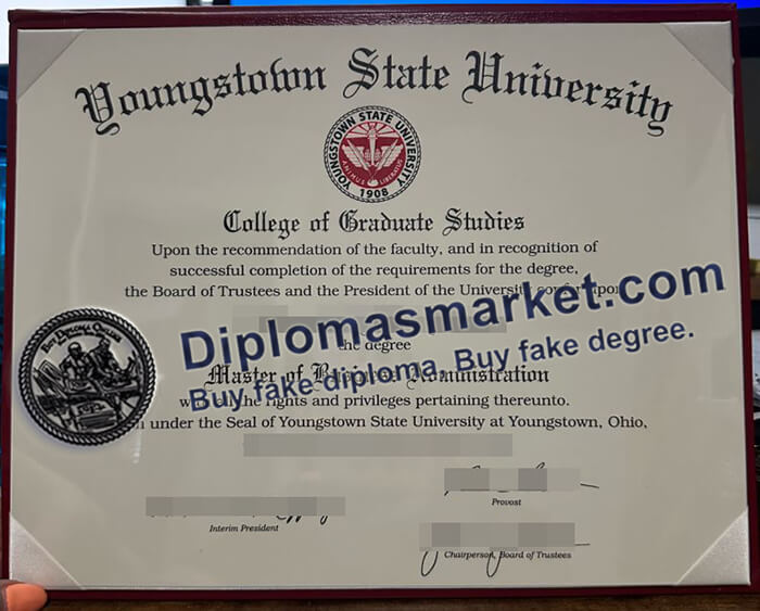 make Youngstown State University degree