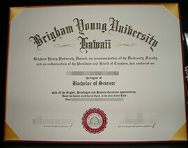 Is it worthy to buy a Brigham Young University Hawaii degree