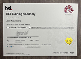 Useful tips for Buying a BSI Training Academy certificate.