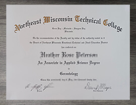 Obtain Northeast Wisconsin Technical College diploma online.