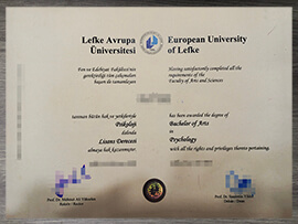 Fake European University of lefke certificate for sale.