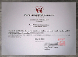 Buy fake Otaru University Of Commerce certificate.