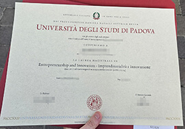 How to buy fake Università degli Studi di Padova diploma?