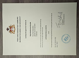 Order a Approbation Als Arztin certificate in Germany.