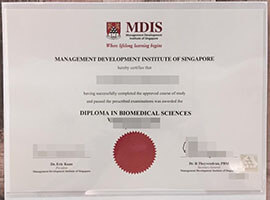 How to buy MDIS diploma? buy fake degree in Singapore